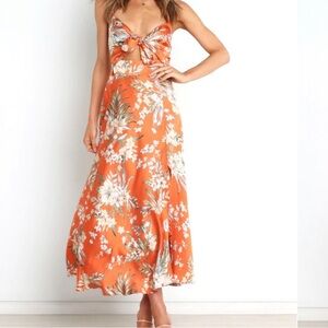 Petal & Pup Whitmore Dress